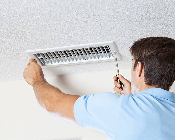 Mold Odor Removal Services in Zimmerman, MN
