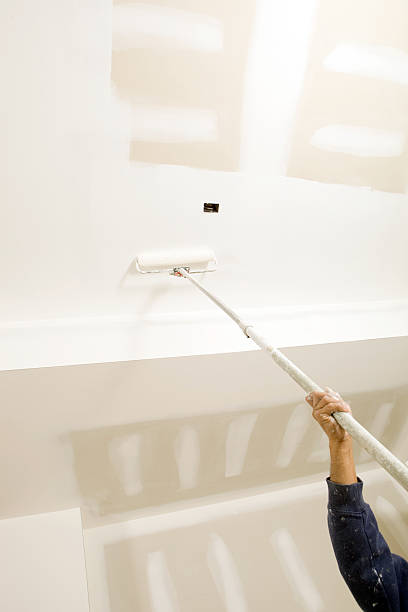 Reliable Zimmerman, MN Mold Removal Solutions